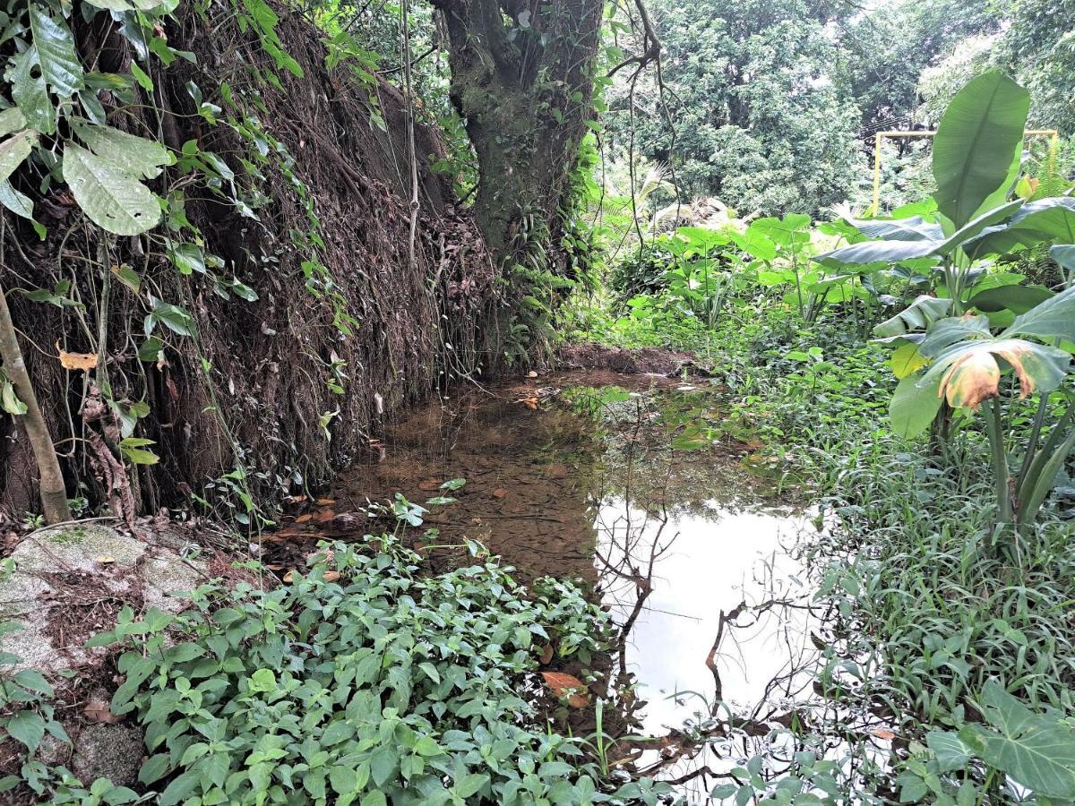 Paradisiaco, Piscina E Churrasqueira Em Guapimirim Bagian luar foto