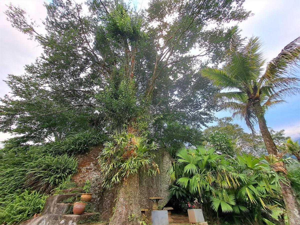 Paradisiaco, Piscina E Churrasqueira Em Guapimirim Bagian luar foto